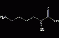 L-赖氨酸结构式