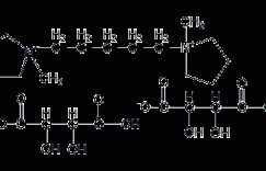 酒石酸戊双吡铵结构式