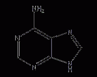 腺嘌呤结构式