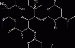 红霉素结构式