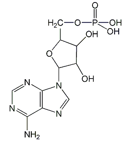 腺苷-5'-单磷酸结构式