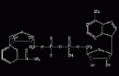 3-乙酰吡啶腺嘌呤二核苷酸结构式