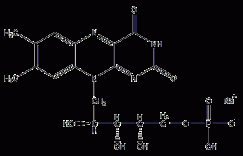 核黄素磷酸钠结构式