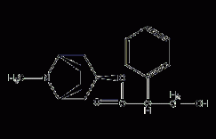 莨菪碱结构式